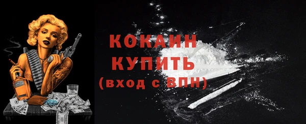 молекула духа Бугульма
