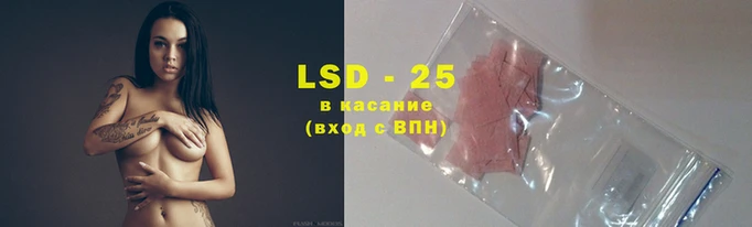 ALPHA PVP Бородино